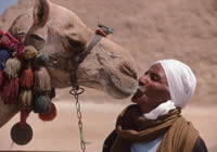  Alberto RODRIGUEZ - 'El beso del camellero'. Giza. Egipto.
